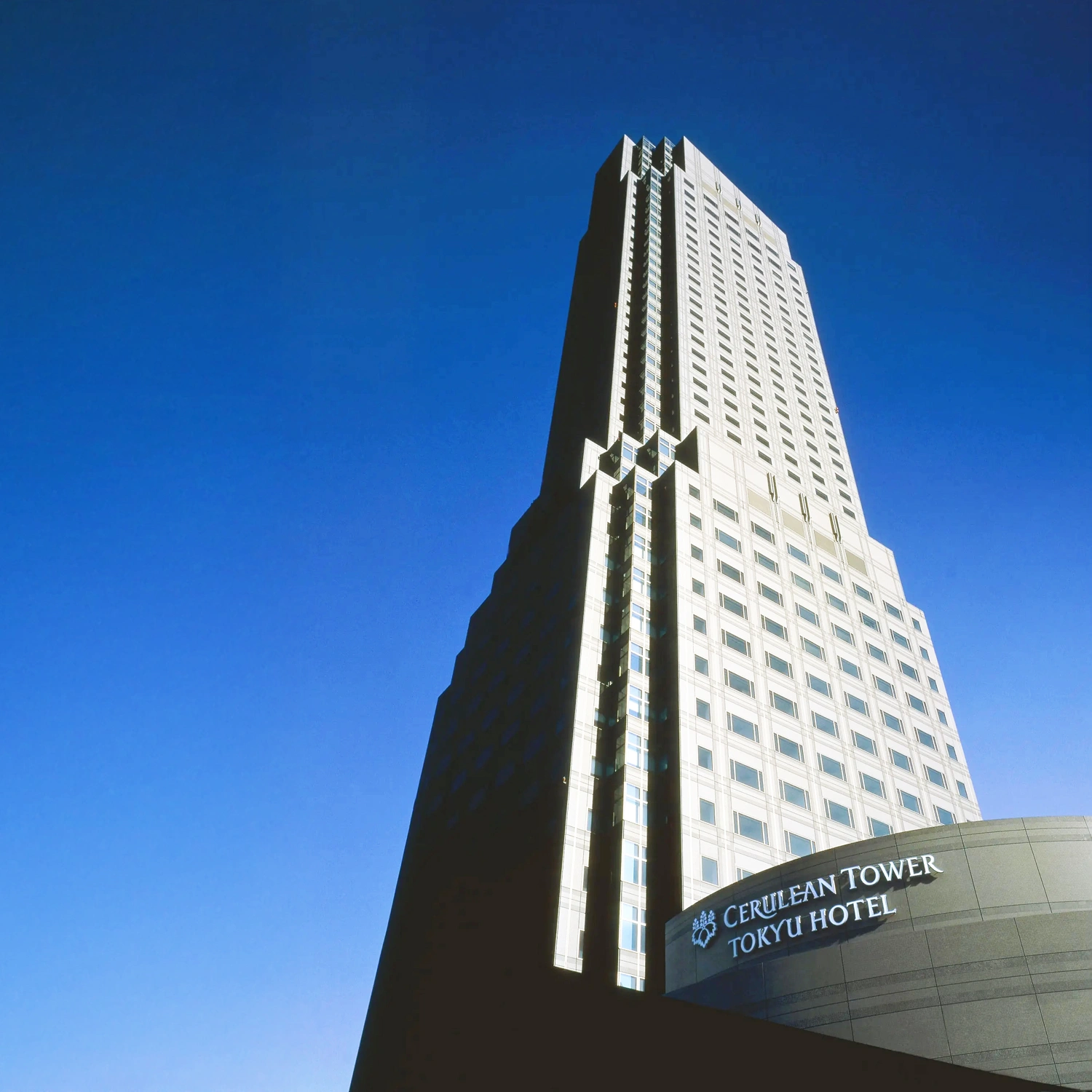セルリアンタワー